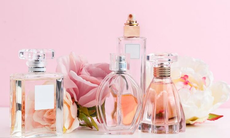 ladies perfume brands with price