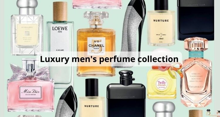 Luxury men's perfume collection