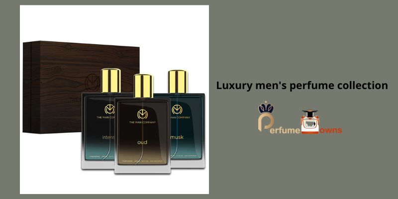 Luxury men's perfume collection